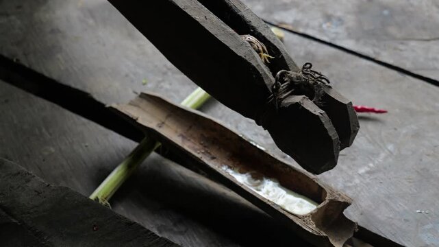 Poison arrows making process in Mentawai islands