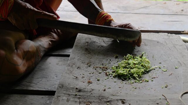 Poison arrows making process in Mentawai islands