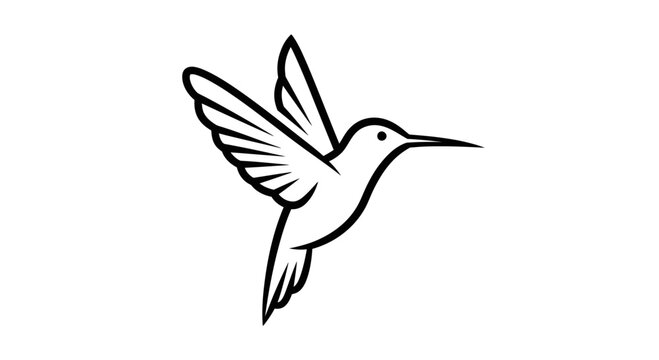 Elegant Hummingbird Line Art Illustration.