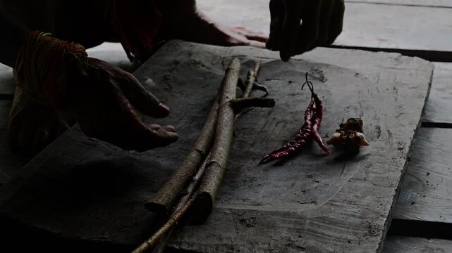 Poison arrows making process in Mentawai islands