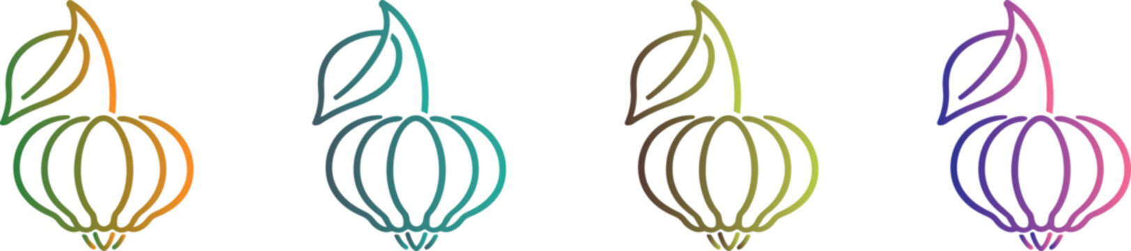 Physalis ground cherry line icon set with colorful gradients, organic berry outline symbol for botanical and health designs.