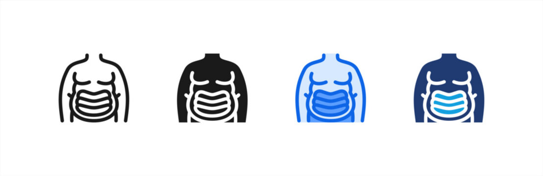 Fat Storage Process Body icon multiple style collection. Vector illustration.
