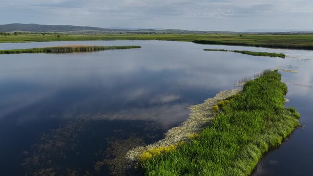 A drone shot gliding over a vast wetland; the deep-blue sky and fluffy clouds reflecting on the still water, with lush green reeds and a distant mountain vista.