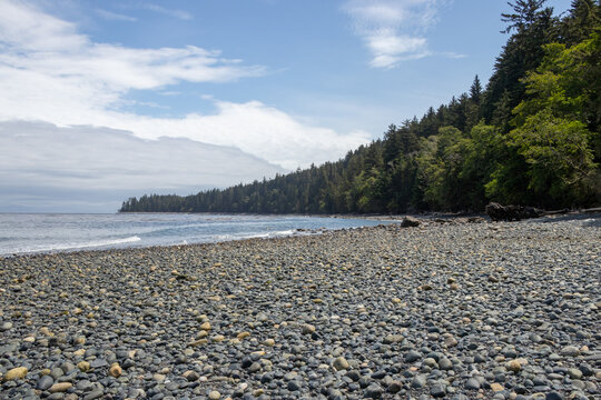 Forest and smooth rocks along the coast on a cloudy summer day