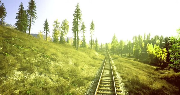 overhead sunlit rails cut through meadow leading into distant horizon, scattered pines on rolling slope, tranquil rural atmosphere, subtle lens flare, focus