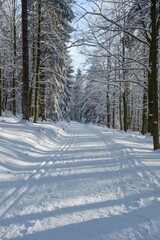 Obraz premium snow covered road in winter
