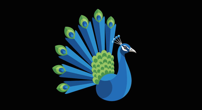 Vibrant Blue Peacock Bird Display.