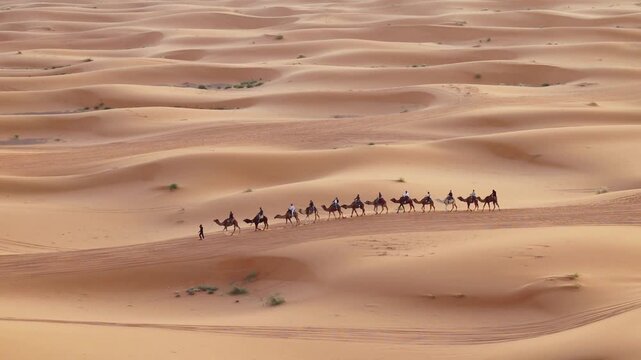  Camels caravan in Sahara desert in Merzouga Morocco