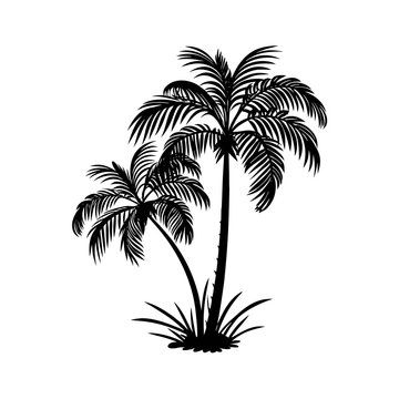 Palm Tree Silhouette Vector Art on White Background