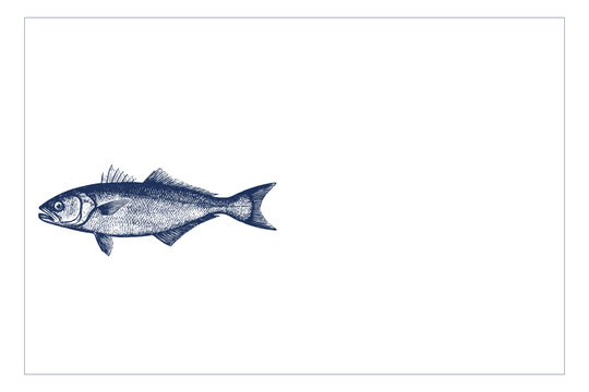 Vintage Seafood Menu Template with Fish Illustration and Copy Space.