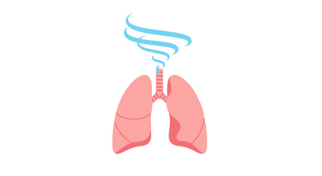 Illustration of lungs with airflow, representing breathing and respiratory health