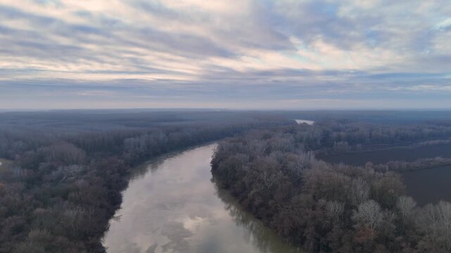 Aerial view of the Tisza river winding through a dense winter forest with leafless trees under a cloudy sky in Tiszasuly, Hungary.