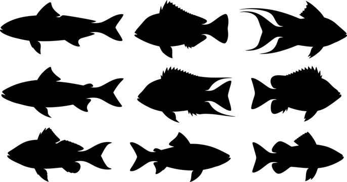 Nine black silhouette vector graphics of diverse fish species on white
