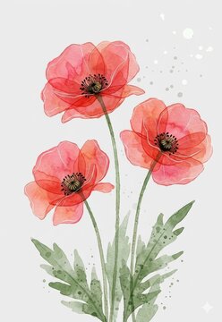 Watercolor Illustration of Three Red Poppy Flowers with Soft Translucent Petals and Dark Centers on a Light Gray Background,