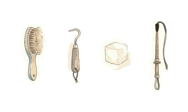 Horse brush, hoof pick, sugar cube, and a riding whip spaced out with airy gaps in a row, soft naive watercolor illustration,
