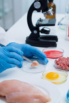 A laboratory scientist in blue gloves uses tweezers to examine a raw meat sample in a Petri dish near a microscope, egg yolk, and minced meat for food quality and safety research.