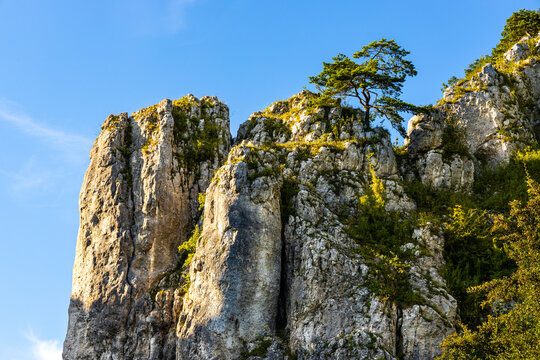 Filar Abazego Abazy Pillar Jurassic rock, part of Brama Bolechowicka Gate limestone rock formation in Dolina Bolechowicka Valley within Cracow Valleys landscape park in Lesser Poland