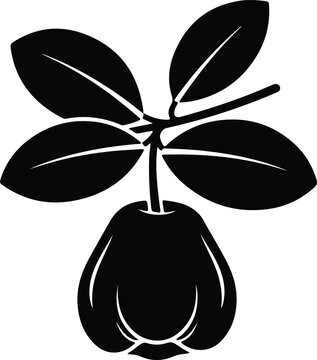 Silhouette design of a tropical rose apple fruit vector