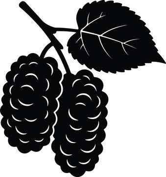 Silhouette design of mulberry fruit branch with leaf vector