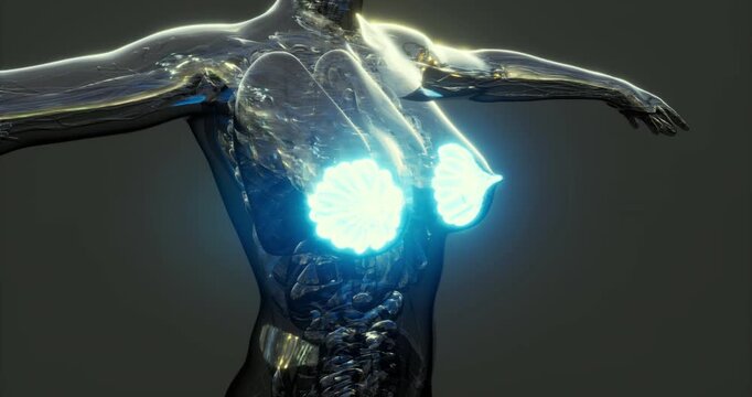 A comprehensive anatomical illustration displays the human mammary glands, highlighting their structure and function with luminous effects.