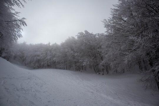 Una passeggiata sul monte Falco innevato, provincia di Forl&igrave;-Cesena, Emilia-Romagna.