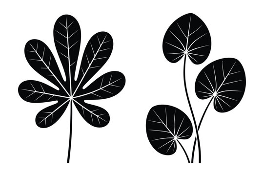 Black and white vector illustrations of palmate and round leaves on stems