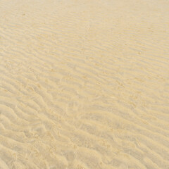 Fototapeta premium sand of a beach