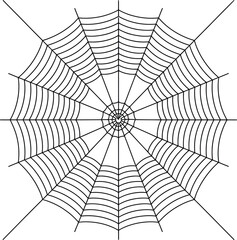 Obraz premium Black and white spider web illustration with circular geometric pattern