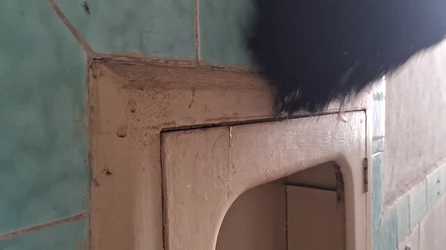 Fluffy black cat tail flicking back and forth against a weathered vintage tiled wall structure