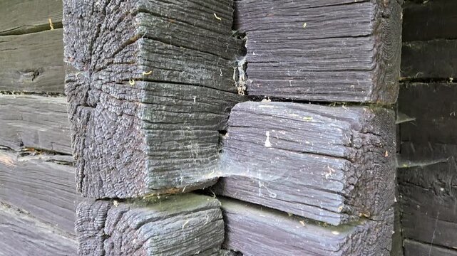 Close-up of weathered dark wooden log cabin wall with cracked timber texture and tree rings