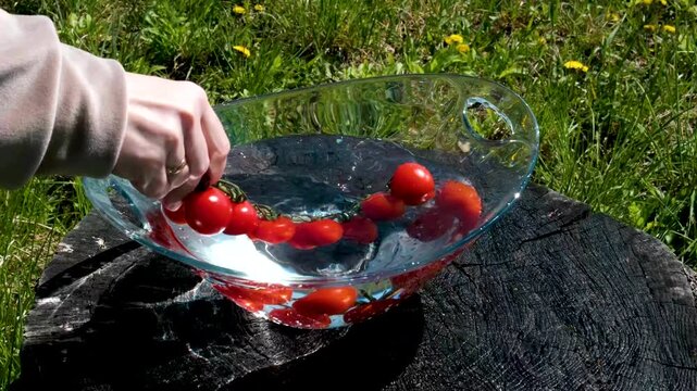 Fresh organic cherry tomatoes splashing into water in slow motion 300fps. High quality 4k footage