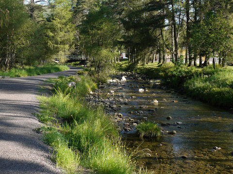 West Highland Way footpath following the Crom Allt river into Tyndrum. Scottish Highlands.