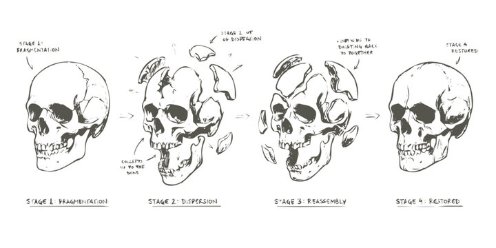 sequential illustration of a fragmented human skull breaking and reassembling concept art
