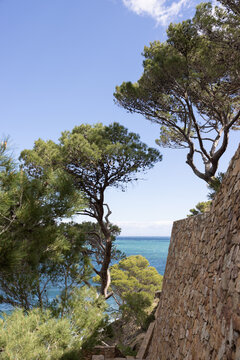 Cami de Ronda walking trail in Costa Brava, Spain on a sunny day with turquoise ocean
