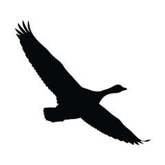 Obraz premium A silhouette of a goose in flight against a white background.