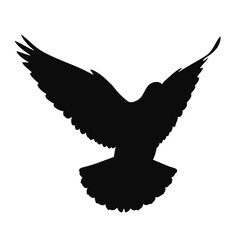 Fototapeta premium A silhouette of a dove in flight against a white background.