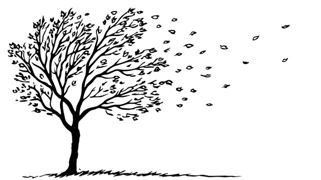 Black and white windblown tree illustration with falling leaves on white background