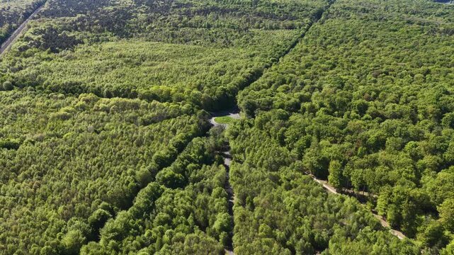 Aerial view of the dense green canopy of the Forest of Fontainebleau with a small road and roundabout under bright sunlight, Fontainebleau, Ile-de-France, France.