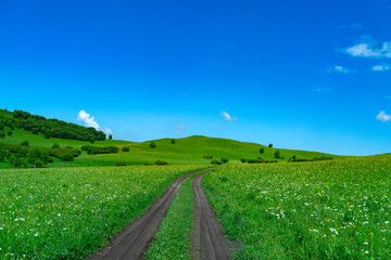Obraz premium Landscape of green grassland and blue sky