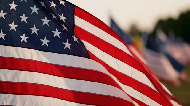 American flags in a row showcasing contemporary design and abstract concepts