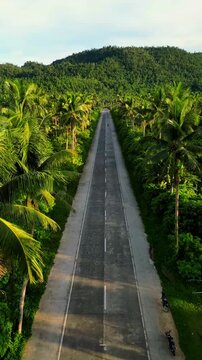 Cinematic aerial view of Siargao Coconut Road &ndash; Endless tropical palm tree forest with scenic road trip landscape in Surigao del Norte, Philippines