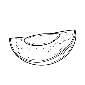 Melon slice line drawing food.