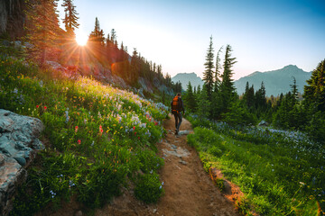 Fototapeta premium Hiker on wildflower trail at sunset on Naches Peak Trail in Mount Rainier National Park