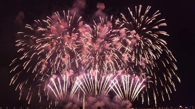 Purple fireworks in night sky perfect for UI/UX elements, presentations, and digital art
