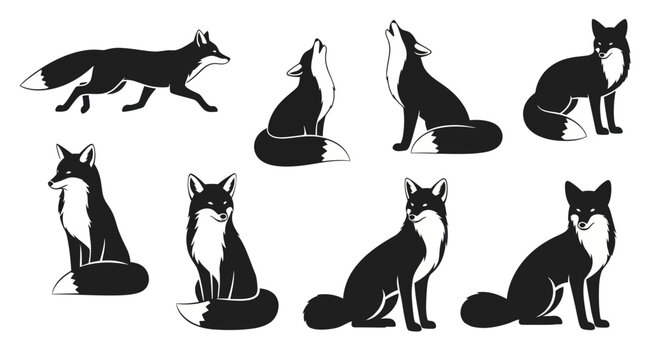Silhouettes of Foxes in Various Poses, Black and White Vector Illustration