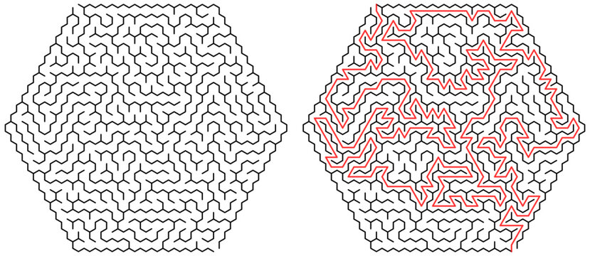 Complex Hexagonal Maze with Solution Path
