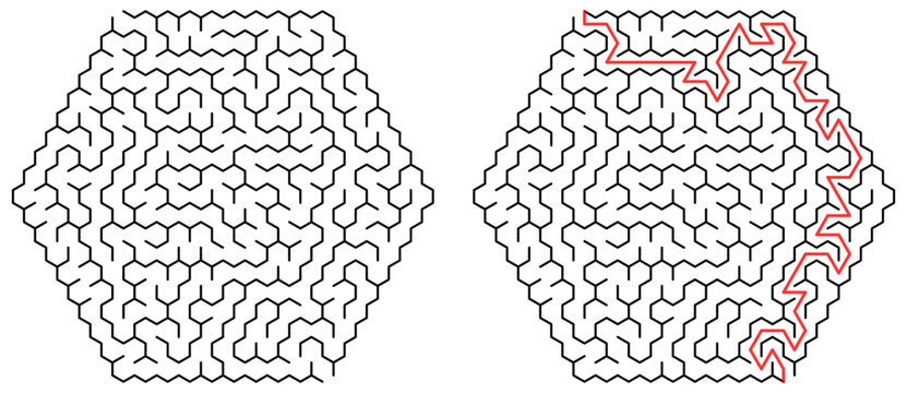 Hex Maze Puzzle with Solution Path