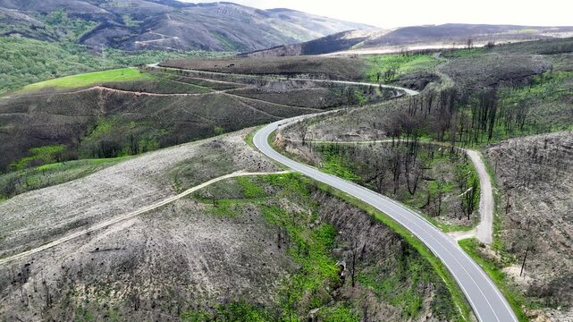 Aerial view of a winding road snaking through a hilly landscape showing patches of burnt forest and vibrant green vegetation Province of Ourense, Spain.