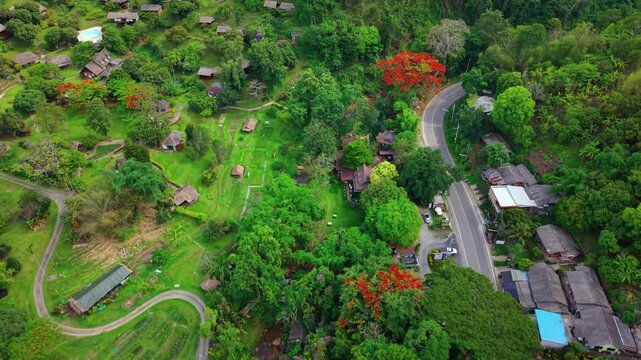 Cinematic aerial view of a winding rural road and tropical resort in the mountains Scenic drone footage showing lush greenery blooming red trees and eco friendly cabins in a jungle valley landscape