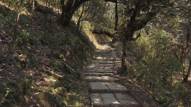 Historical path on the Annapurna Hiking trail close to the village of Ghorepani.
